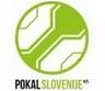 Slovenia Cup