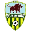 Zimbru Chisinau B crest