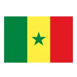 Senegal U20 crest