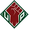 UP Fighting Maroons