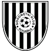 NK Rogaska