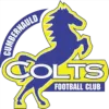 Cumbernauld Colts