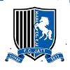 Ihud Bnei Jat crest