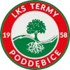 Ner Poddebice
