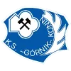 Gornik Konin