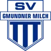 Gmundner