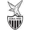 Atletico Fenix Reserves crest