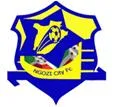 Ngozi City FC crest