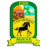 CSD Nueva Concepción