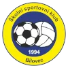 SSK Bilovec
