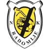 NK Radomlje U19