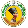 Naser Elfekria