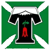 Deportes Temuco (W)