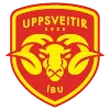 Uppsveitir