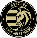 Wenzhou Professional