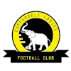 Copper Belts FC (W)