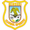 CS Mioveni