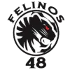 Felinos 48 AC