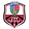 FC Sacele