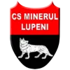 Minerul Lupeni