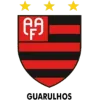 Flamengo SP U23
