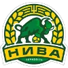 Nyva Ternopil B crest