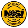 NSI Runavik