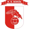 Sokol Bozepole Wielkie