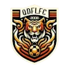 Qingdao Fuli