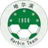 Heilongjiang Harbin Football Team