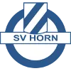 SV Horn