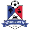 Gosnells City
